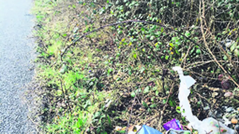 Litter louts are posing major tourism threat Image
