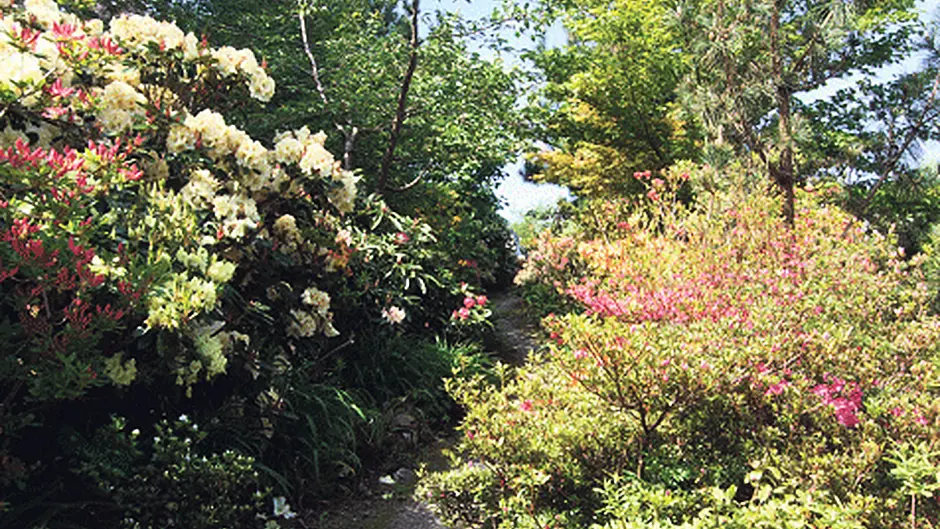 New Durrus gardens have rare plants on display Image