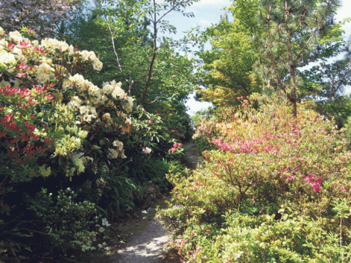 New Durrus gardens have rare plants on display Image