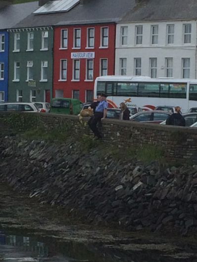 Gardai rescue elderly labrador in Bantry Image