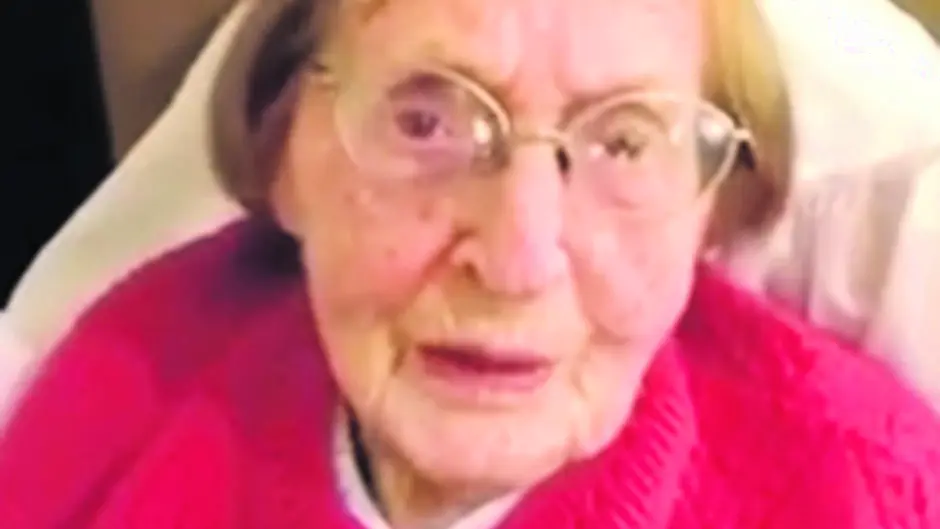 Kittys yes vote video goes viral Image
