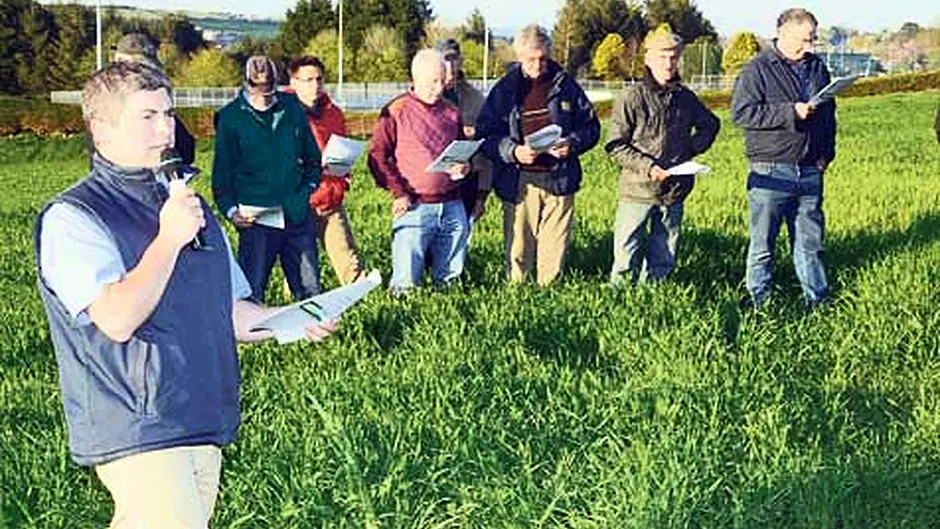 Cereal crops require meticulous attention Image