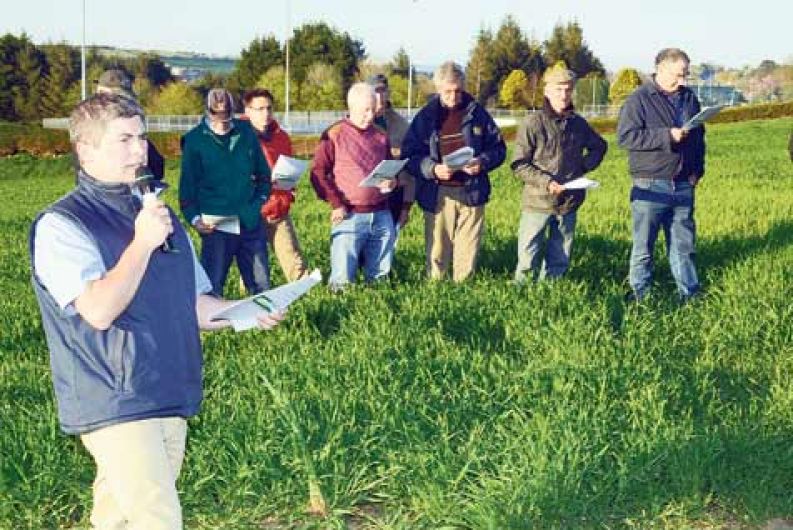 Cereal crops require meticulous attention Image