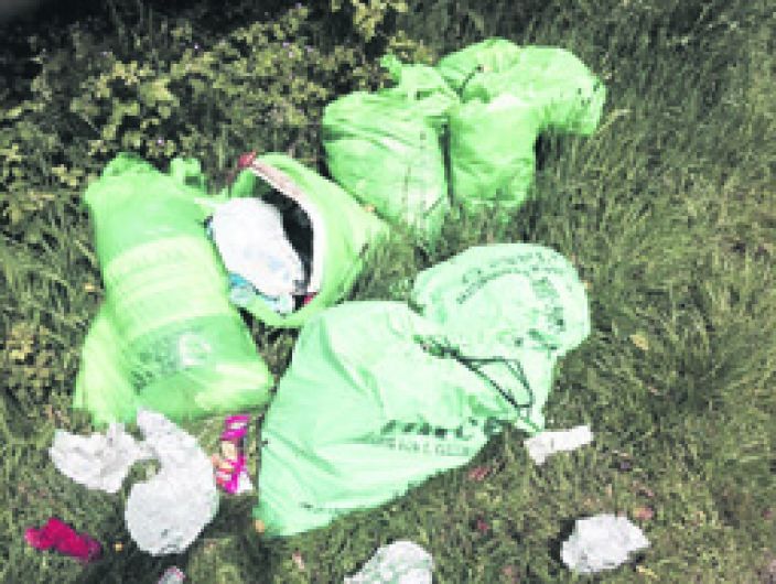 Pretty Rineen Woods the victim of latest littering Image