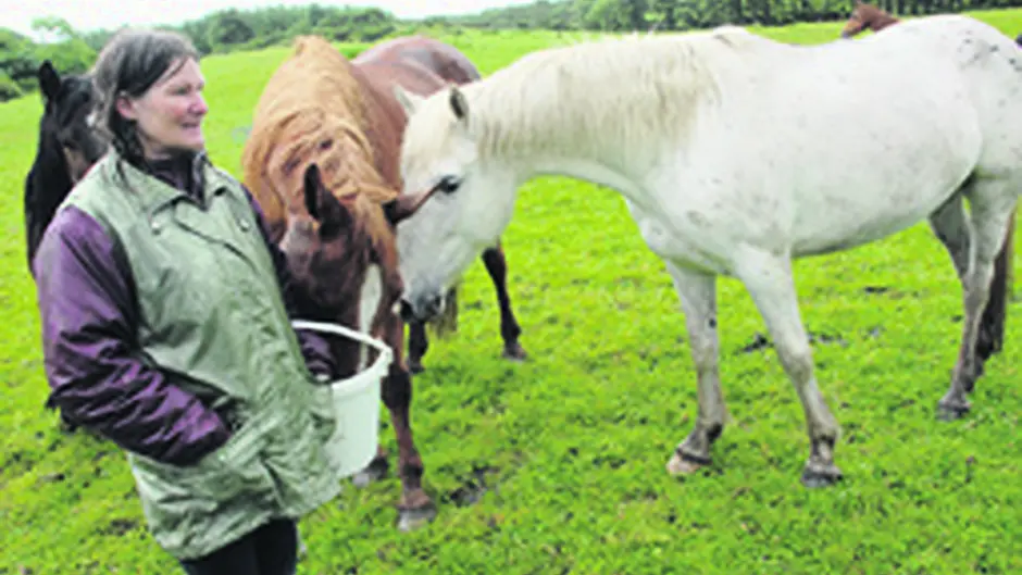 Rescue centre is on the move Image