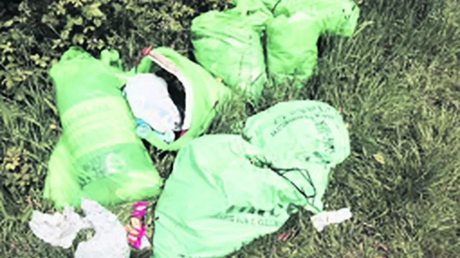 Dont blame us pleads chief as Council spends 05m on litter Image