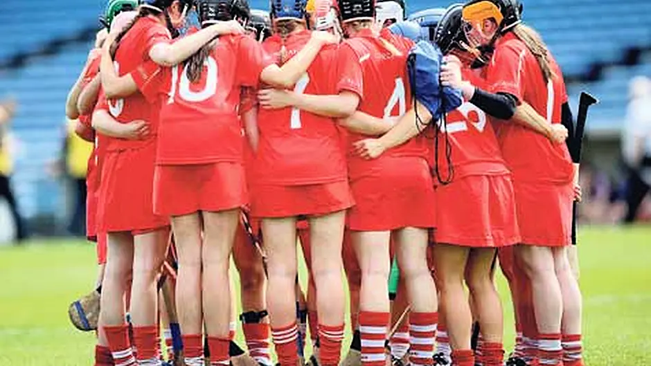 Cork youth will get its fling Image