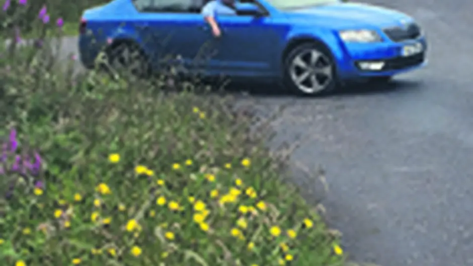 Hedgecutting impasse may lead to deaths Image