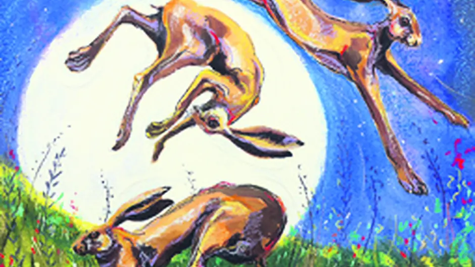 Heron gallery show on the mystical hare Image