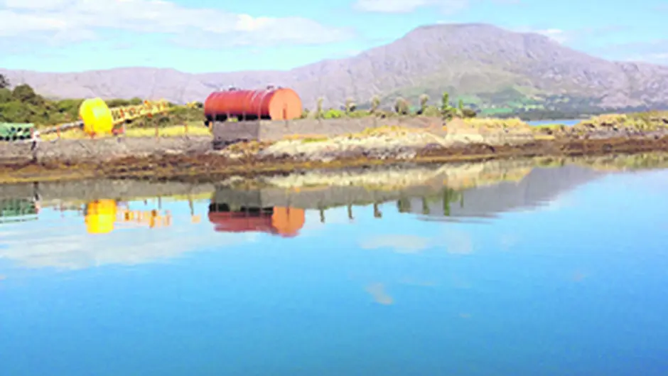 Sailing school ready to return to Bere Island shores Image