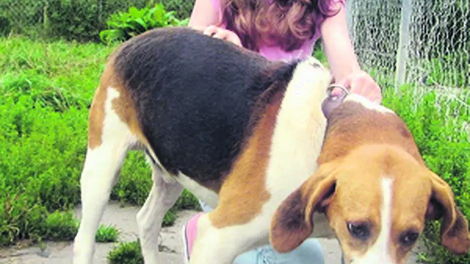 Ava 11 has confirmed her love of abandoned Rufus Image