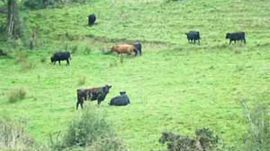 Land eligibility issues need clarification Image