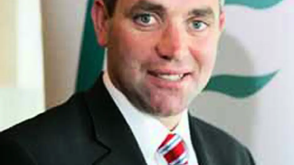 Council merger may be decided in weeks Image