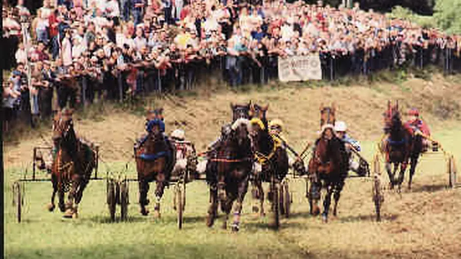 Roads wont close for Dunmanways annual horse fair Image