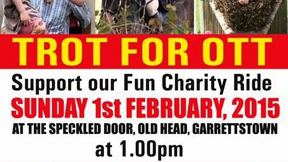 Please support Alex Ott Appeal in Kinsale this Sunday Image