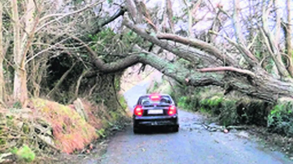 Readers Picture of the Year is revealed Image