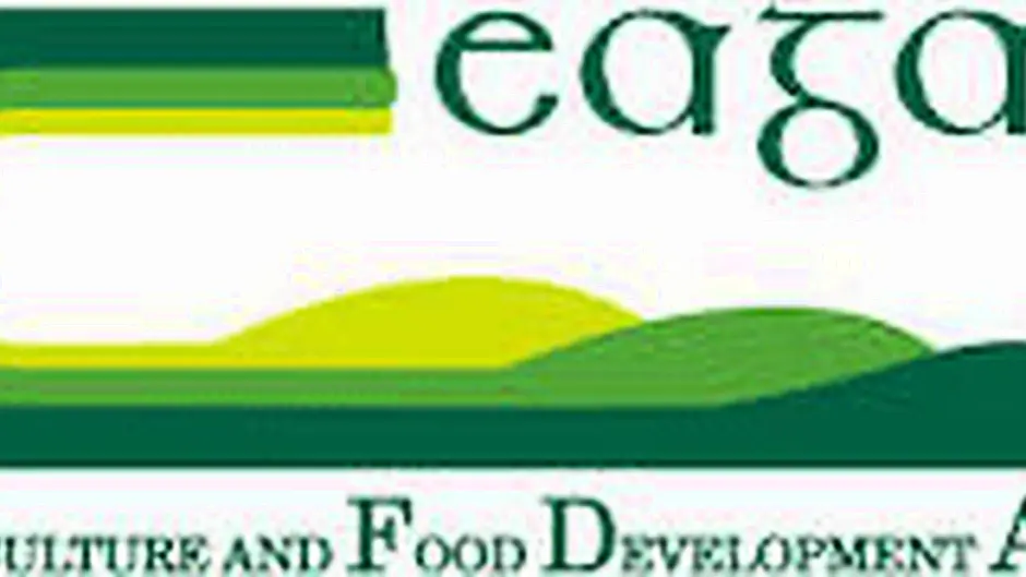 New forestry programme to be explained at meetings Image