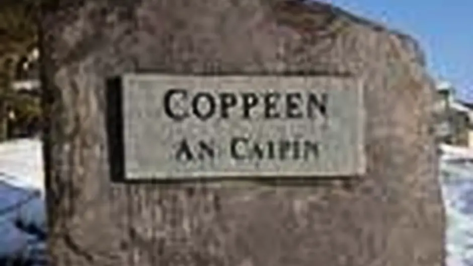 Fatal crash near Coppeen Image