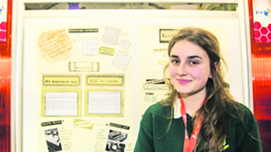Schools fare well at BT Scientists exhibition Image