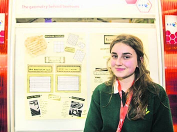 Schools fare well at BT Scientists exhibition Image