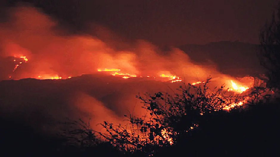 Have your say on burning and hedge cutting Image
