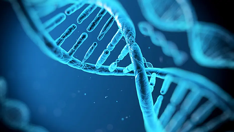 Dunmanways McCarthy DNA project seeks to trace relatives Image