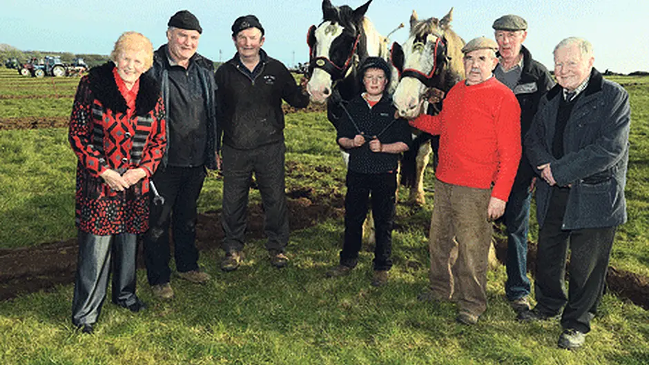 Timoleague ploughing outstanding Image