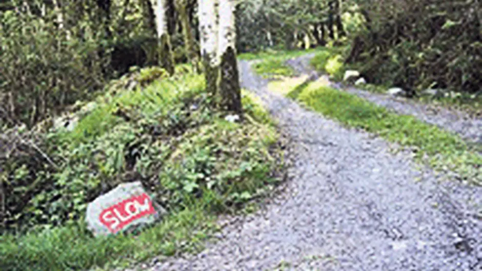 Coolmoutain mans rave music was heard nine miles away Image