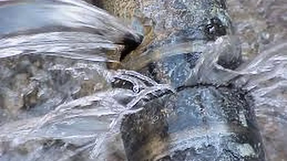 Disruption to water supply in Bantry Image