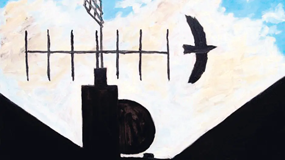 McSweeney movie is portrait of the West Cork artist Image