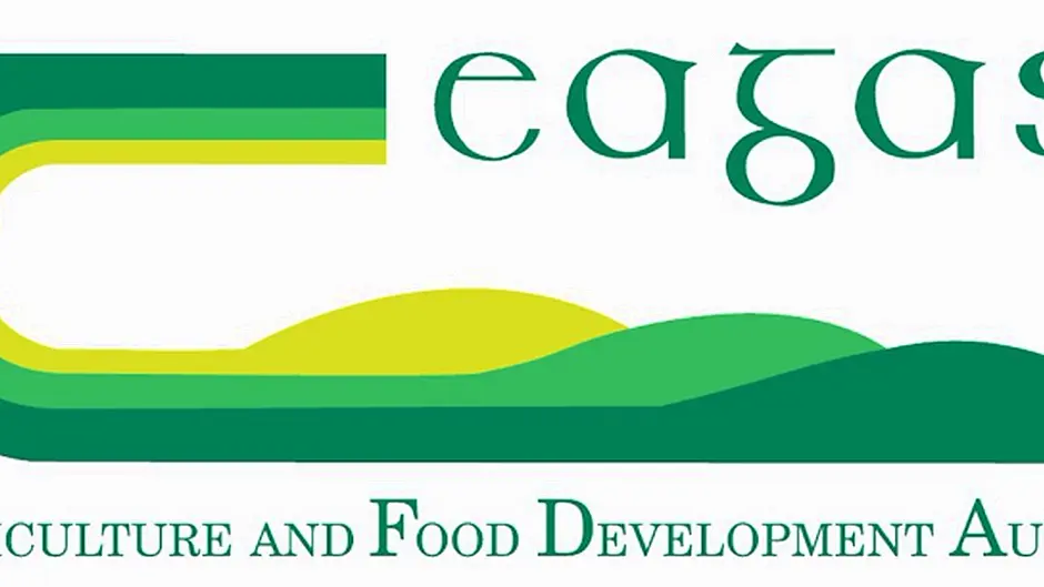 Farm income workshops in Skibbereen Image