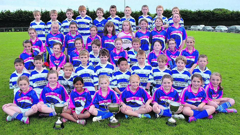 Doin' it for themselves the 120 ladies of Castlehaven Image