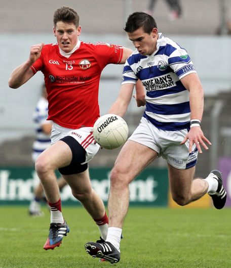 Castlehaven are back in county senior football final Image