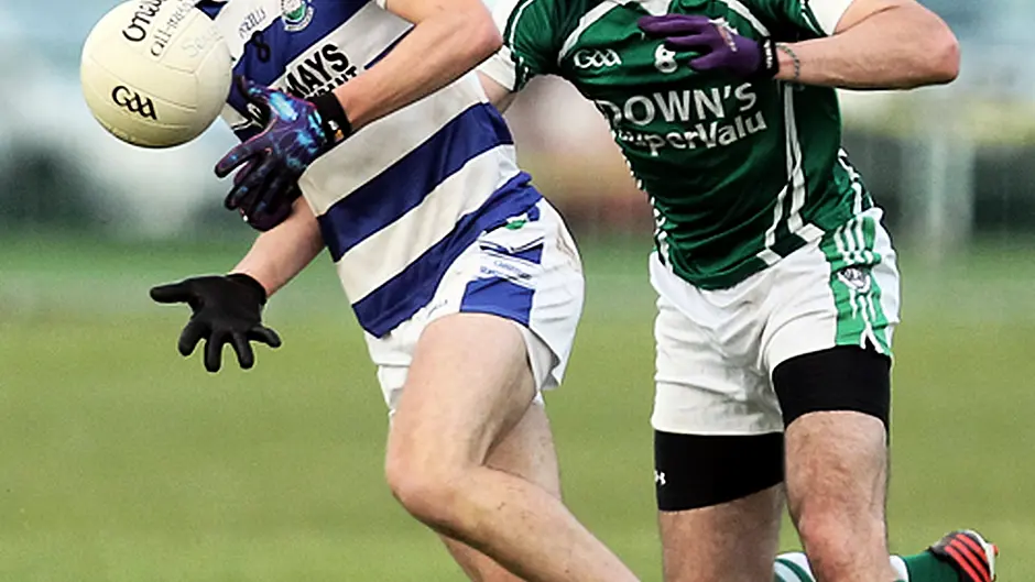 Castlehaven backed to win the county senior football title Image