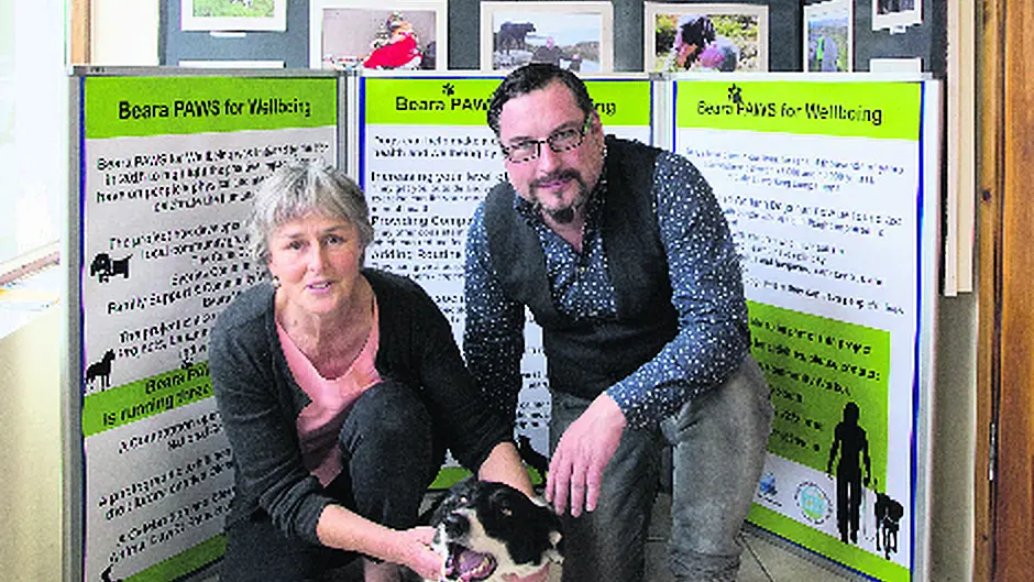 Paws for thought in Beara Image