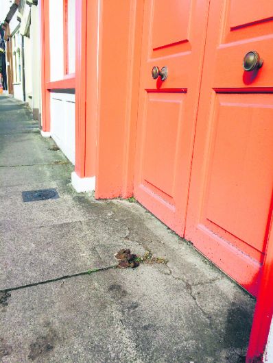 Mum cries foul over dog dirt on local streets Image