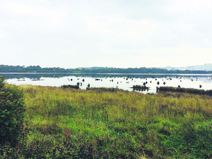 Gearagh delta is as important as Newgrange and the Burren Image