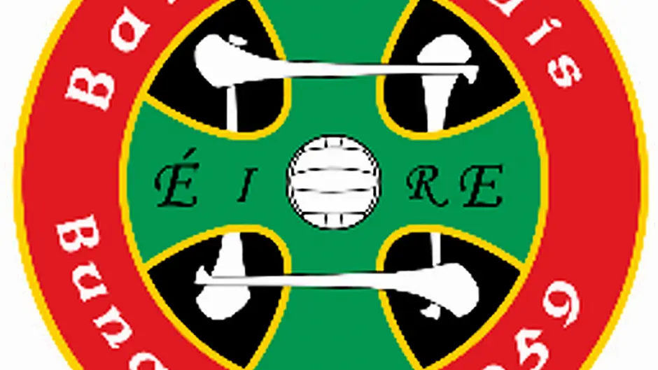 Newcestown relegated from Division 1 of the county football league Image
