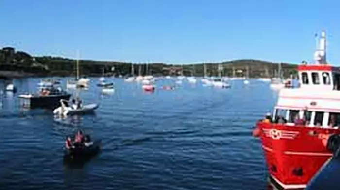 Schull locals lobby TDs on harbour Image