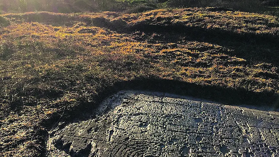 Rockin up to city with West Cork prehistoric art exhibition Image
