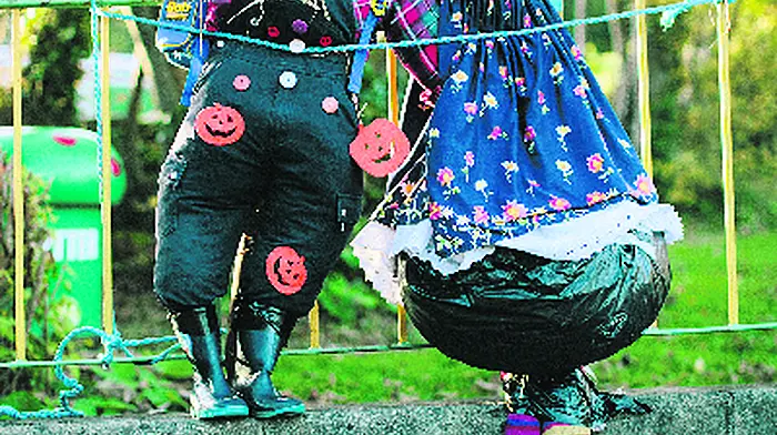 Spooktacular leap scarecrows set to return next year Image