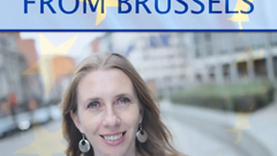 Simplifying CAP rules high on EU agenda Image