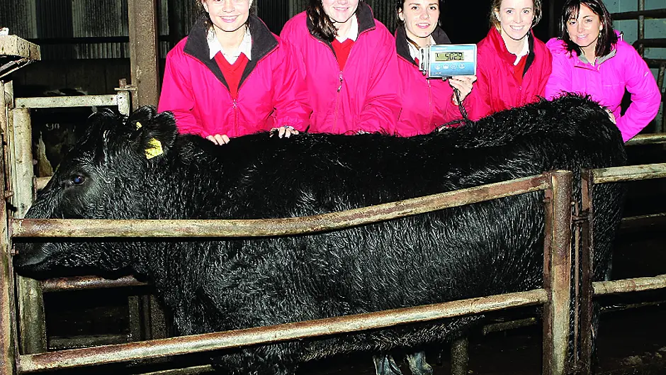 Clonakilty students learn  from calf rearing project Image