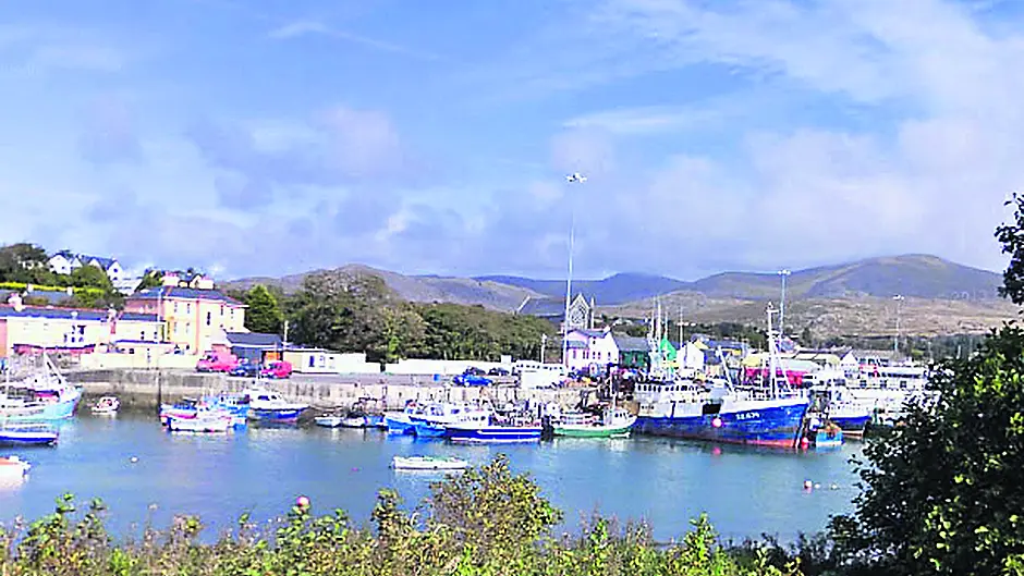 Fisheries body says haddock and cod cuts will hit hardest Image
