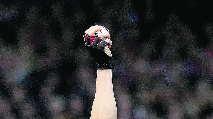 Let's hope new hurling plan will help development of great game Image