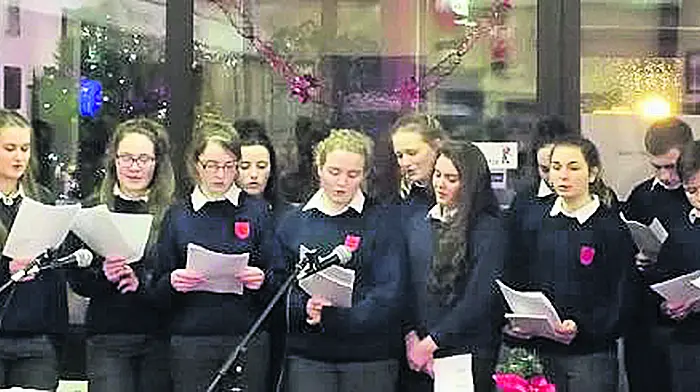 Beara's resilience brought to book by Transition Year students Image