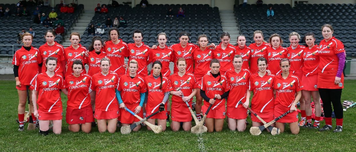 Cork knocked out of national camogie league Image