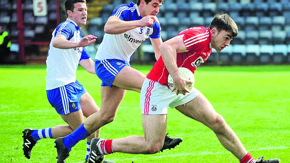 So, what did Cork's footballers learn from the national league campaign? Image