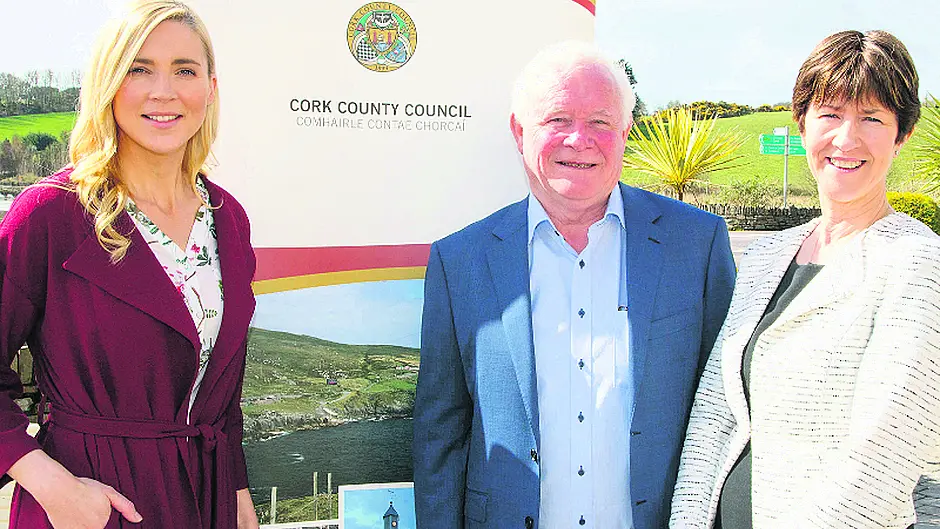 Co Council's bold move to tackle scourge of littering on our roads Image