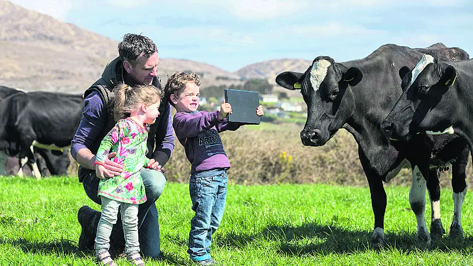 West Cork sustainability stories Image